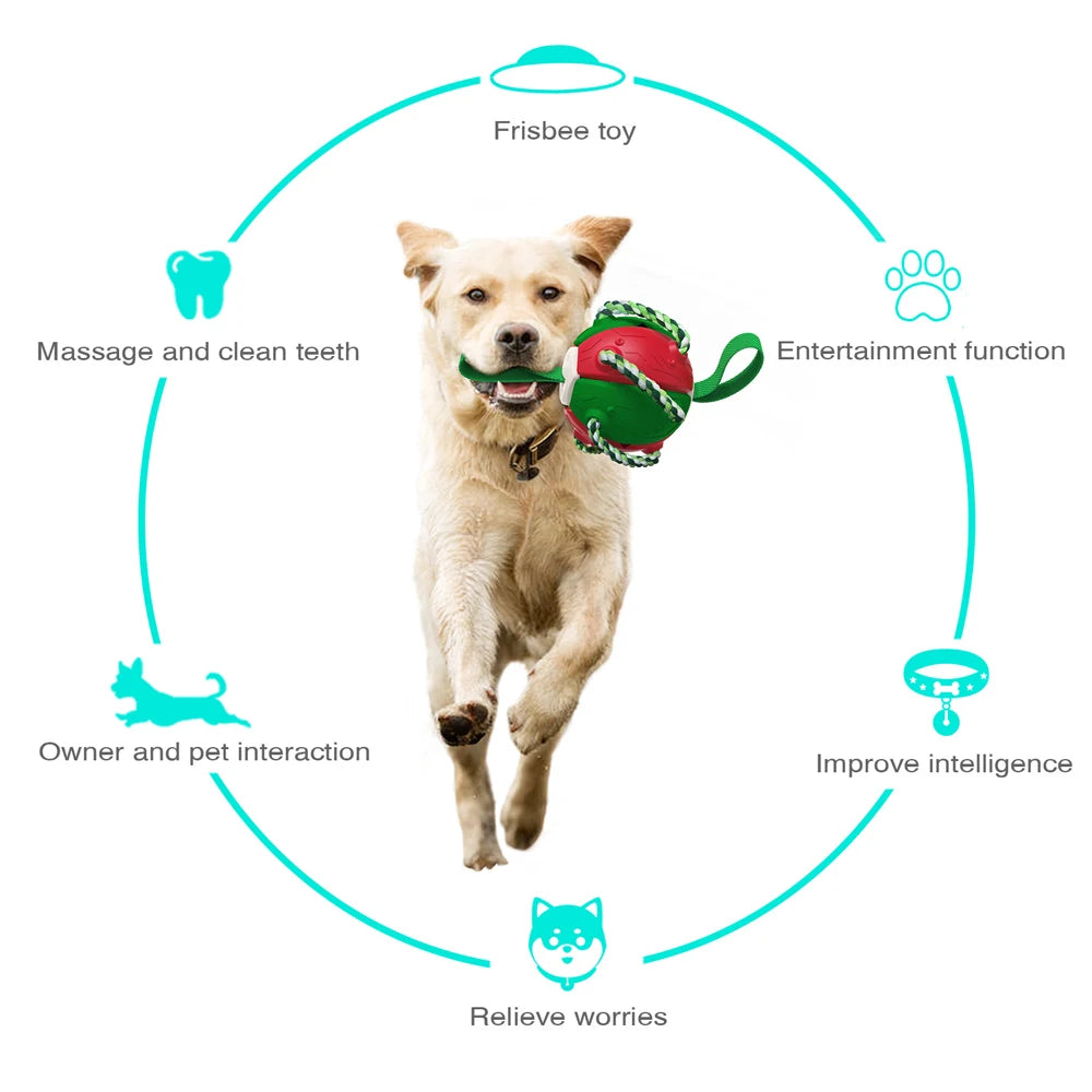 Dog Soccer Ball Interactive Toys Auto Expand Training Toys Outdoor Pet Toys Dog Training Tools