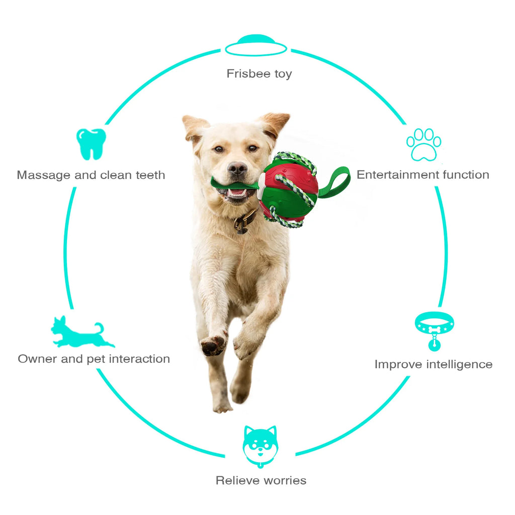 Dog Soccer Ball Interactive Toys Auto Expand Training Toys Outdoor Pet Toys Dog Training Tools