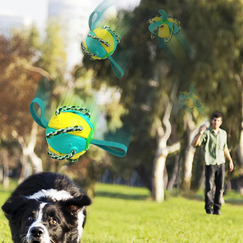 Dog Soccer Ball Interactive Toys Auto Expand Training Toys Outdoor Pet Toys Dog Training Tools