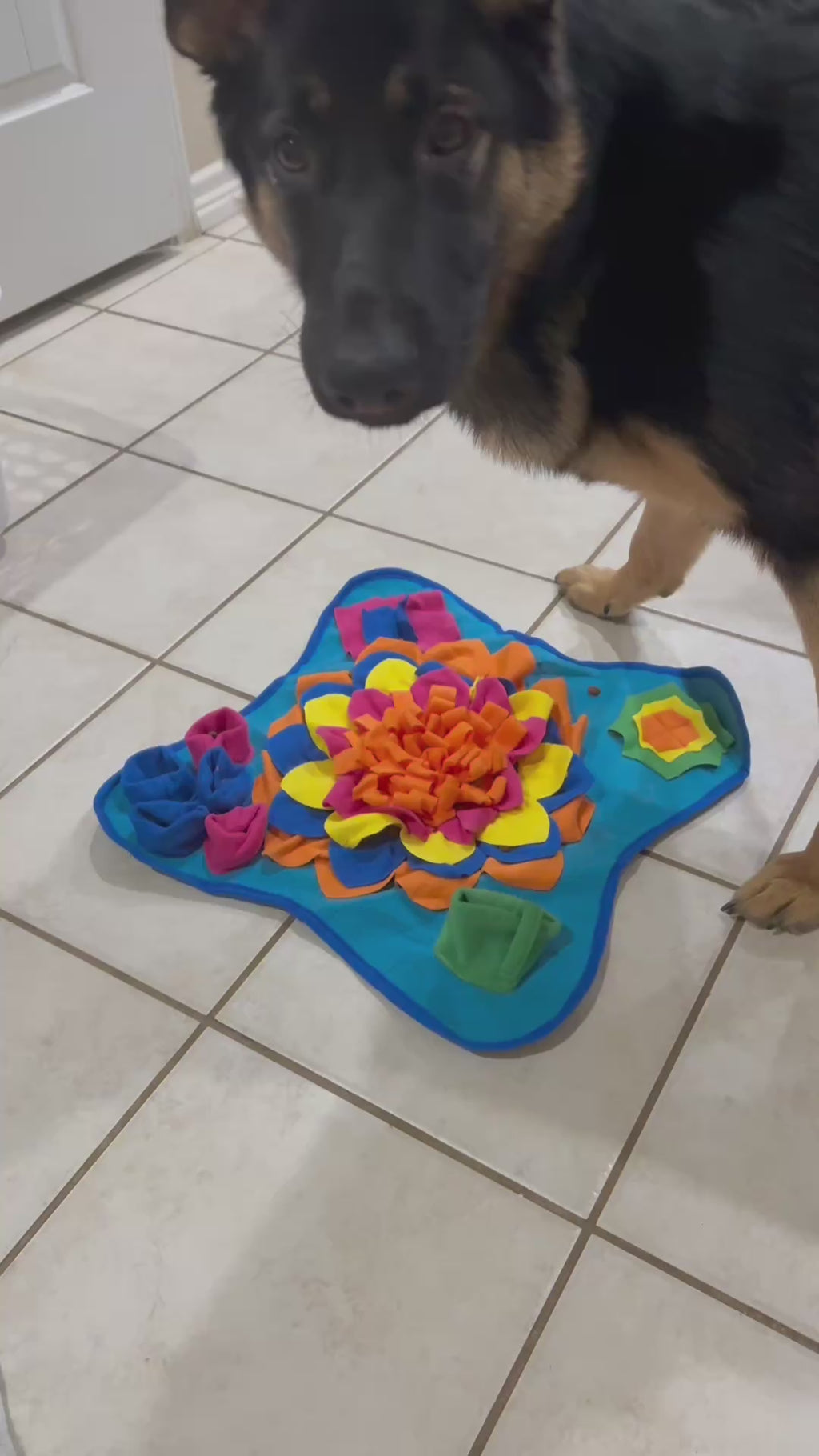 Good Pet Snuffle Mat for Dogs,Interactive Feed Puzzle for Boredom,Encourages Natural Foraging Skills