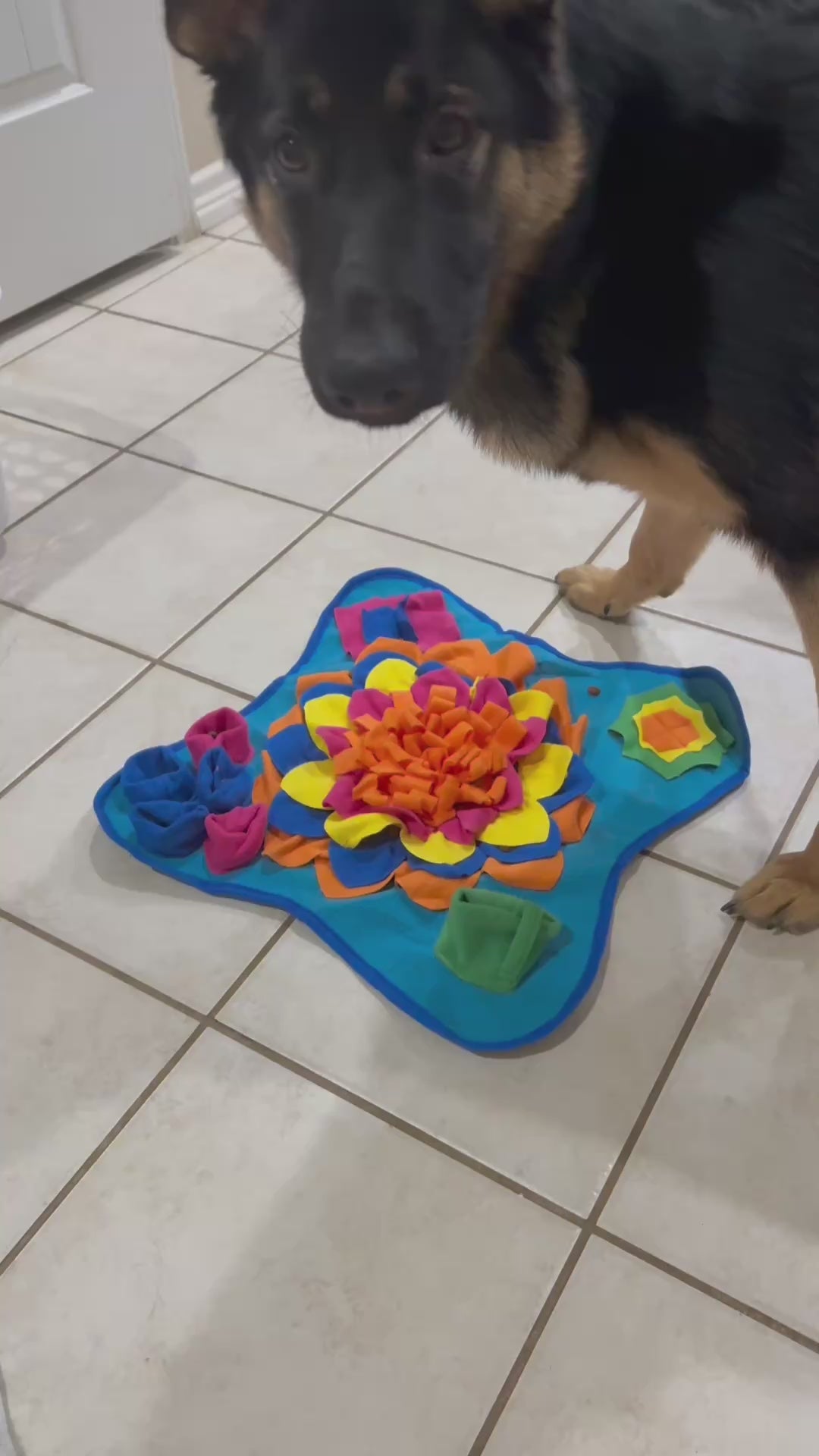 Good Pet Snuffle Mat for Dogs,Interactive Feed Puzzle for Boredom,Encourages Natural Foraging Skills
